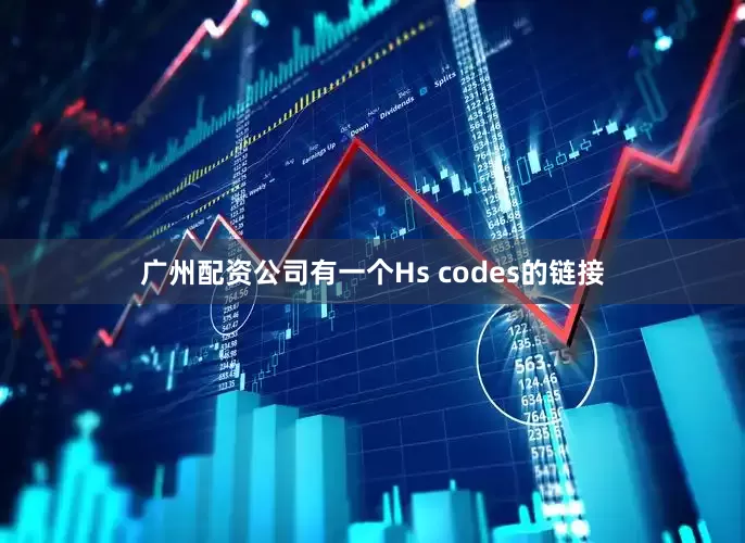 广州配资公司有一个Hs codes的链接
