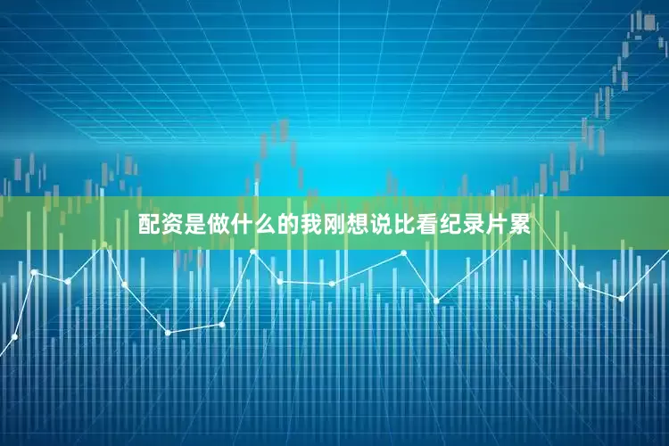配资是做什么的我刚想说比看纪录片累